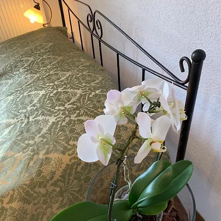 Remedios Bed & Breakfast